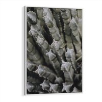 Obraz w ramie 50x70 - Boho kaktusy na pustyni - kaktusy, pustynia - rama biała