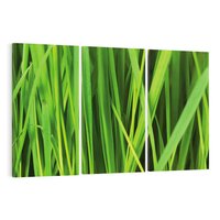 Obraz na płótnie 120x80 - Trawa w abstrakcji: natura przekształcona - trawa, abstrakcja