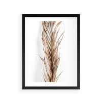 Plakat w ramie 50x70 - Minimalizm Palmowy: Sucha Uroda - sucha palma, minimalizm - rama czarna