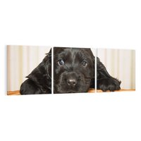 Obraz na płótnie 150x50 - Uroczy szczeniak w akcji - piesek, szczeniak