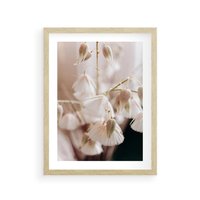 Plakat w ramie 40x50 - Suszona Delikatność - suszone kwiaty, rośliny - rama drewno
