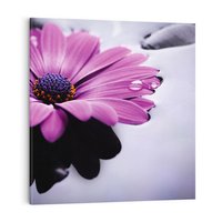 Obraz na płótnie 70x70 - kwiatowa harmonia - kwiat, SPA