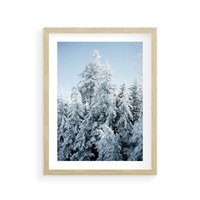 Plakat w ramie 40x50 - Magia Śnieżnych Drzew - zima, iglaste drzewa - rama drewno