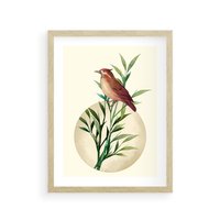 Plakat w ramie 40x50 - Rozkwitająca Delikatność - japońska sztuka, ptak - rama drewno