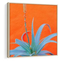 Obraz w ramie 50x50 - Naturalna Harmonia - kaktusy, liście - rama drewno