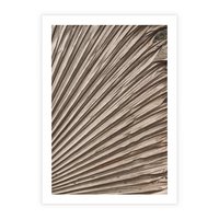 Plakat bez ramy 50x70 - Liść Palmy w Wyjątkowej Kompozycji - suchy liść palmy, boho styl
