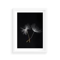 Plakat w ramie 30x40 - Delikatność Wiatru - dmuchawce, makro - rama biała