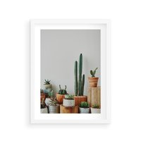 Plakat w ramie 40x50 - Naturalna Harmonia - kaktusy, liście - rama biała