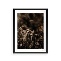 Plakat w ramie 50x70 - Jesienny Urok - suche trawy, jesienny pejzaż - rama czarna