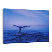 Obraz na płótnie 120x80 - Morze, fale i skały - wieloryb, morze