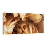 Obraz na płótnie 120x60 - Zjawiskowe zasuszone kwiaty - zasuszone, kwiaty