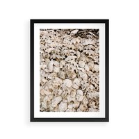 Plakat w ramie 30x40 - Symfonia Natury - kompozycja z białych muszli - rama czarna