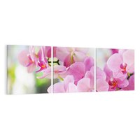 Obraz na płótnie 90x30 - Elegancja orchidei - orchidea, kwiaty