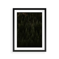 Plakat w ramie 30x40 - Ciemny las iglasty - las, iglasty - rama czarna
