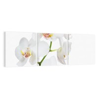 Obraz na płótnie 90x30 - Ekskluzywny Relaks - storczyk, spa