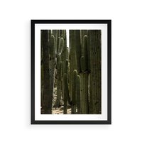 Plakat w ramie 30x40 - Wyjątkowy Klimat Boho - kaktusy, pustynia - rama czarna