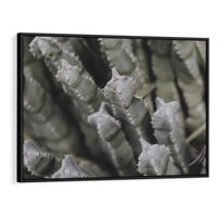 Obraz w ramie 70x50 - Boho kaktusy na pustyni - kaktusy, pustynia - rama czarna