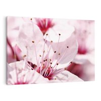 Obraz na płótnie 100x70 - Kwitnąca Wiśnia - kwiaty, kwitnąca