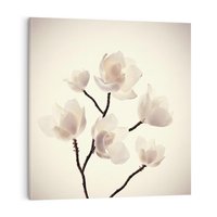 Obraz na płótnie 40x40 - Elegancja Natury - magnolia, białe