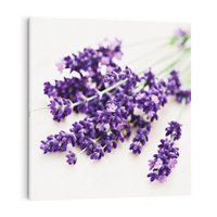 Obraz na płótnie 50x50 - Urok lawendowych kwiatów - lawenda, kwiaty