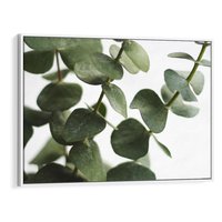 Obraz w ramie 70x50 - Zielone eukaliptusy - eukaliptus, liście - rama biała