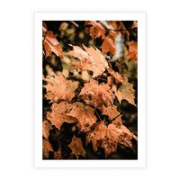 Plakat bez ramy 21x30 - Ciepło Jesieni - jesienne pomarańczowe liśćie, jesień