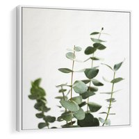 Obraz w ramie 50x50 - Żywa eukaliptusowa zieleń - eukaliptus, zielone - rama biała