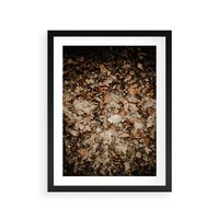 Plakat w ramie 50x70 - Suchość Liści w Brązowych Tonach - suche liście jesień brąz - rama czarna