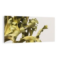 Obraz na płótnie 140x70 - Odejście pory deszczowej - suche, trawy