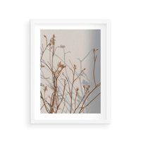 Plakat w ramie 30x40 - Boho gałązki suche - gałązki, suche - rama biała