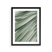 Plakat w ramie 50x70 - Tropikalna Oaza - zielony liść palmy, zieleń - rama czarna