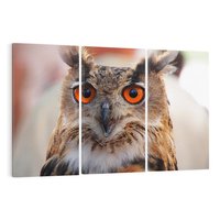 Obraz na płótnie 120x80 - Mądra sowa w locie - sowa, ptak