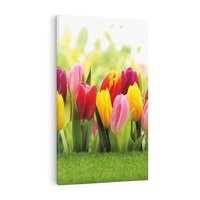 Obraz na płótnie 80x120 - delikatność kwiatowego świata - tulipany, kwiaty