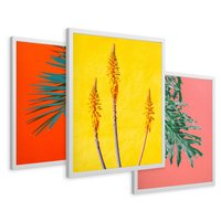 Zestaw obrazy w ramie 40x50 galeria - Rośliny, liście, kolorowe, energetyczne, tło - rama biała