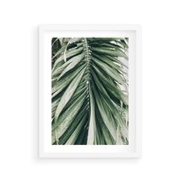 Plakat w ramie 30x40 - Spokojna Piękność Palmowych Liści - palma, liście palmy - rama biała