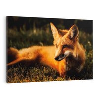 Obraz na płótnie 120x80 - Lisek w lesie - lis, lisek