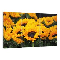 Obraz na płótnie 120x80 - promień słoneczny w kwiatowym świecie - słoneczniki, kwiat