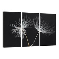 Obraz na płótnie 120x80 - Delikatność Wiatru - dmuchawce, makro