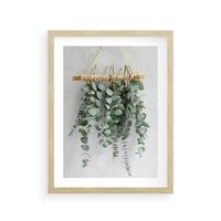 Plakat w ramie 30x40 - Uwodzicielska zieleń eukaliptusa - eukaliptus, zielone - rama drewno