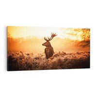 Obraz na płótnie 140x70 - Magia jesiennego słońca: Jeleń w promieniach - jeleń, jesień