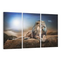 Obraz na płótnie 120x80 - Król sawanny - lew, kamień