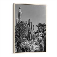 Obraz w ramie 50x70 - Pustynny Klimat - czarno białe zdjecie, pustynia - rama drewno
