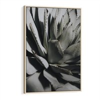 Obraz w ramie 80x120 - Sukulenty wśród kaktusów - sukulenty, kaktusy - rama drewno