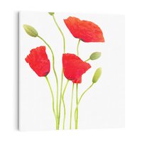 Obraz na płótnie 50x50 - Pola maków w pełnym kolorze - maki, kwiaty