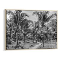 Obraz w ramie 100x70 - Mroczna Ścieżka Tropików - czarno biała fotografia, ścieżka pośród palm - rama drewno