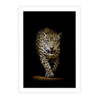 Plakat bez ramy 50x70 - Elegancja lamparta - lampart, pantera