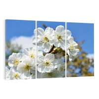 Obraz na płótnie 120x80 - Kwiatowa harmonia natury - kwiat, kwiaty