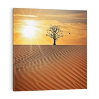 Obraz na płótnie 30x30 - Pustynia - Drzewo i słońce - pustynia, drzewo