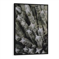 Obraz w ramie 50x70 - Boho kaktusy na pustyni - kaktusy, pustynia - rama czarna