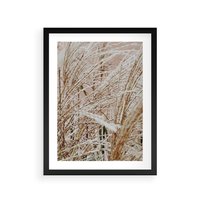 Plakat w ramie 50x70 - Beżowa Trawa - suche trawy, zbliżenie - rama czarna